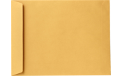 ??  Envelope, Kraft (15 x 18 in)